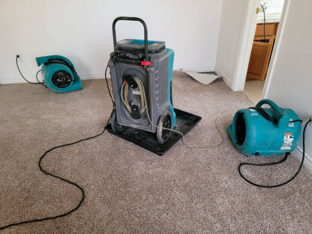 Best Carpet water damage restoration  in Murphy, MO