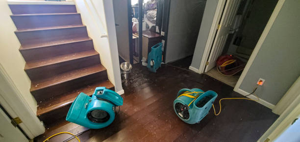 Best Basement water damage restoration  in Murphy, MO