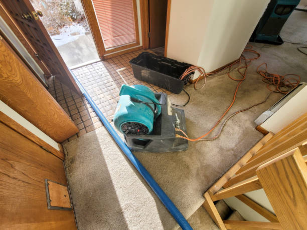 Best Water damage contractors near me  in Murphy, MO