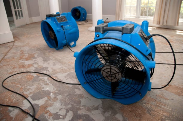  Murphy, MO Water damage restoration Pros