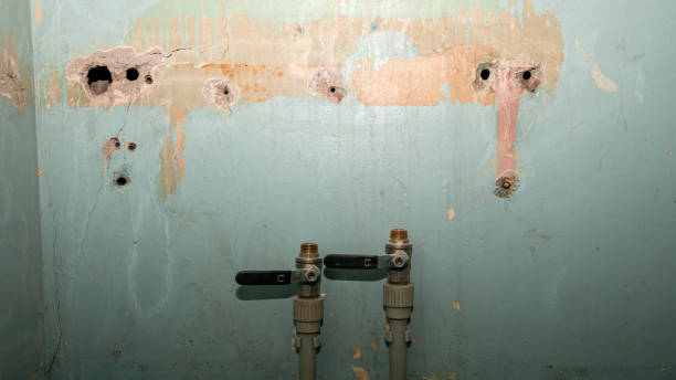 Best Water damage cleanup near me  in Murphy, MO