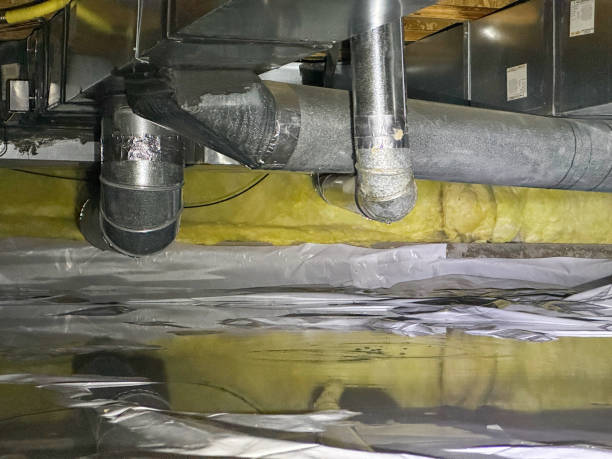 Best 24-hour water damage restoration  in Murphy, MO