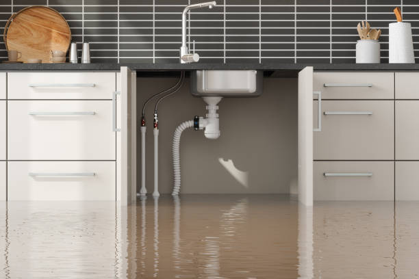 Trusted Murphy, MO Water damage restoration Experts