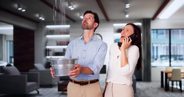 Best Flooded house restoration  in Murphy, MO